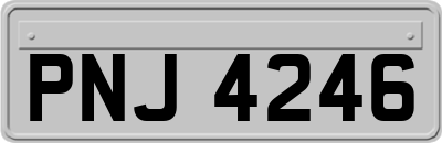 PNJ4246