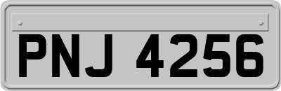 PNJ4256