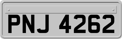 PNJ4262