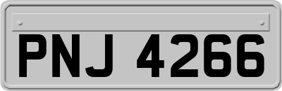 PNJ4266