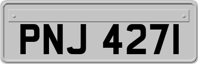 PNJ4271