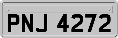 PNJ4272