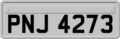 PNJ4273