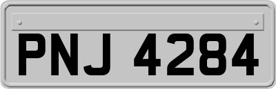 PNJ4284
