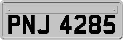 PNJ4285