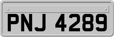 PNJ4289