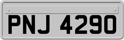 PNJ4290