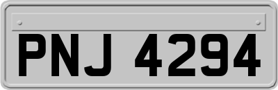PNJ4294