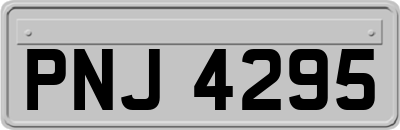 PNJ4295