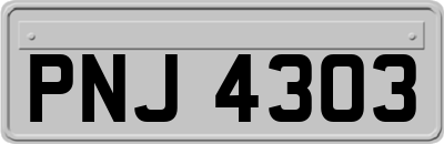 PNJ4303