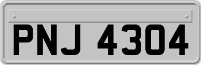 PNJ4304