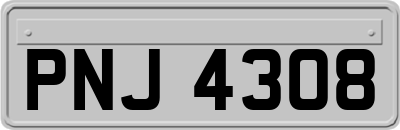 PNJ4308