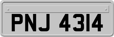 PNJ4314