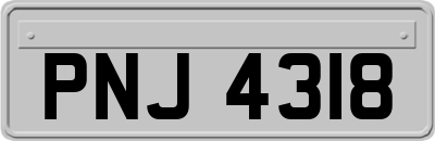 PNJ4318