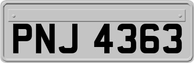 PNJ4363