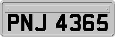 PNJ4365