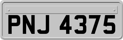 PNJ4375