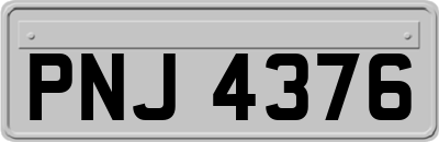PNJ4376