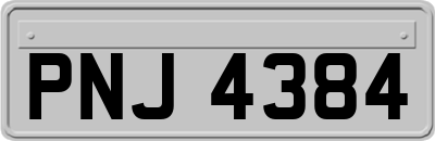 PNJ4384