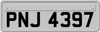 PNJ4397