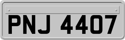 PNJ4407