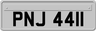 PNJ4411