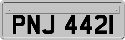 PNJ4421