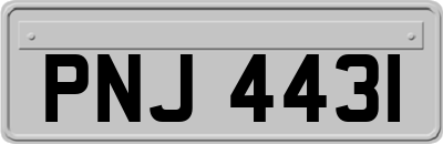 PNJ4431