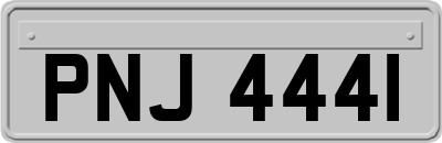 PNJ4441