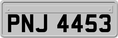 PNJ4453