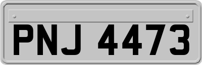 PNJ4473