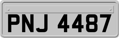 PNJ4487
