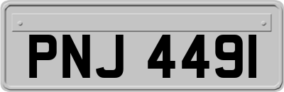 PNJ4491