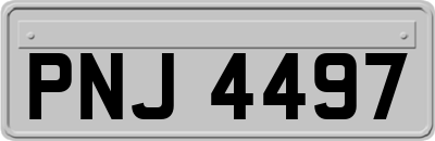 PNJ4497
