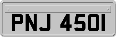 PNJ4501