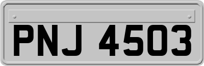 PNJ4503