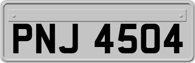 PNJ4504