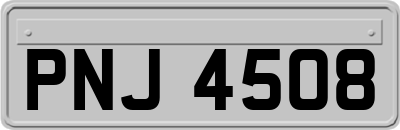 PNJ4508