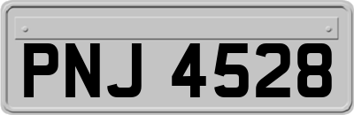 PNJ4528