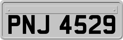 PNJ4529