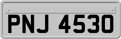 PNJ4530
