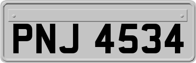 PNJ4534