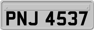 PNJ4537