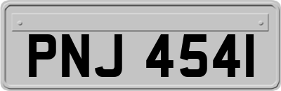 PNJ4541