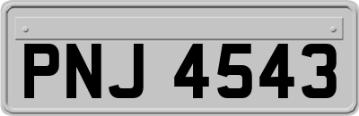 PNJ4543