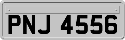 PNJ4556