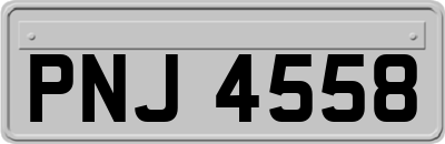 PNJ4558