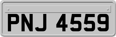 PNJ4559