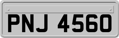 PNJ4560