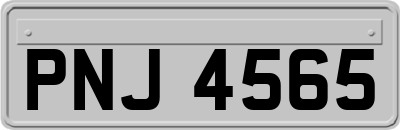 PNJ4565
